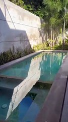 Tour de Casas de Mérida 2024, creatividad y arquitectura ¿De qué se trata?