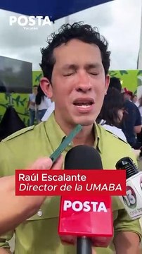 Esterimóvil Mérida: ¿Cuántas esterilizaciones se han realizado en comisarías?