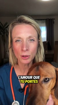 NOS ANIMAUX sont nos PLUS BELLES HISTOIRES D'AMOUR ❤️