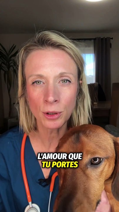 NOS ANIMAUX sont nos PLUS BELLES HISTOIRES D'AMOUR ❤️