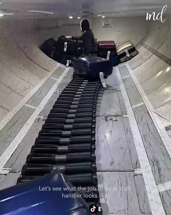 The work of a aircraft baggage handler! ✈