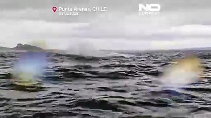 NO COMMENT: Una ballena jorobada se traga y libera a un kayakista en la Patagonia chilena