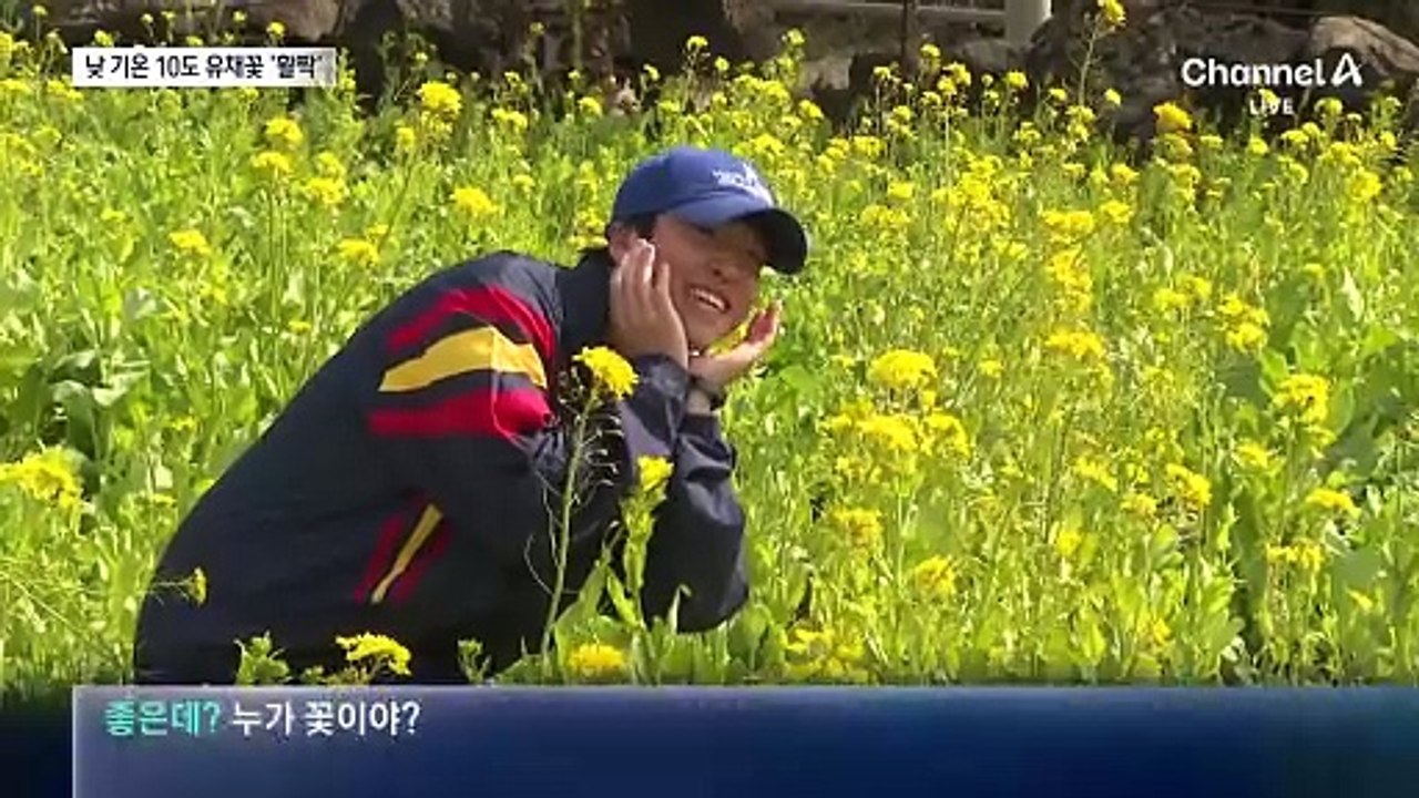 10도 웃도는 봄 날씨…주말 내내 포근