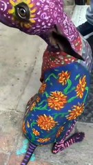 Maquillaje de perrita Xoloitzcuintle para parecer alebrije genera controversia