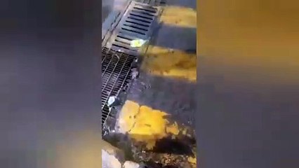 Fugas de agua en Toluca, aquí puedes reportarlas (VIDEO)