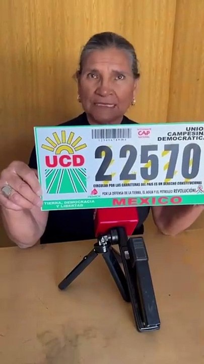 Placas vehiculares: ¿Cuál es el proceso de legalización de autos chocolate en Coahuila?