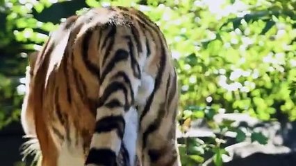 Tw0 W0rlds EP6 Eng Sub