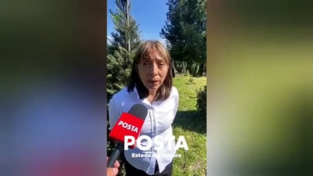 Navidad está por llegar a Edomex; preparan arbolitos (VIDEO)