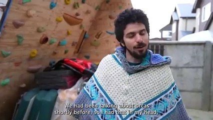 A whale swallowed me whole — this is how I survived