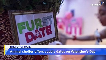 Philippines Animal Rights Group Celebrates Valentine's Day With Furry Companions