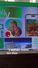 Viva Aerobus lanza su nuevo nombre y cambia de imagen: transforma sus servicios