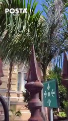 Museo Palacio Cantón, ejemplo arquitectónico entre el pasado y el presente