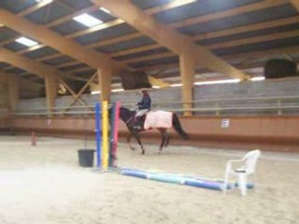 Tic tac et moi en licol