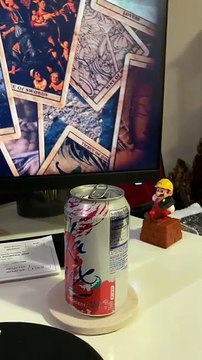 Un oiseau qui joue à cache-cache