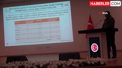 Sokak Hayvanlarına Ceza: 71 Bin 965 TL