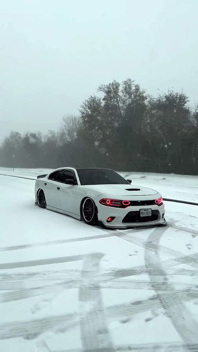 Snow hellcat🌨️❄️👑