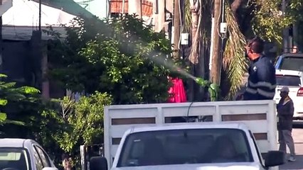 Adrián de la Garza pone en marcha acciones contra el dengue en Monterrey