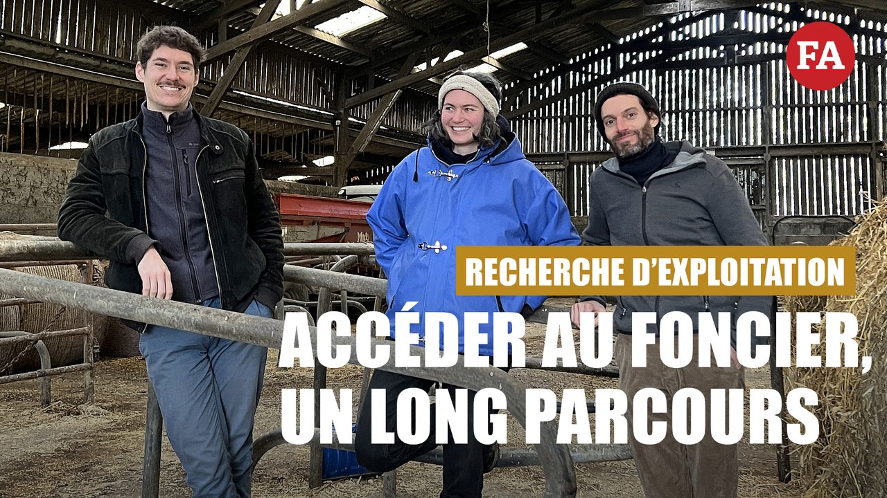 Recherche d'exploitation : accéder au foncier, un long parcours