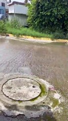 Fuga de aguas negras provoca río en Juárez