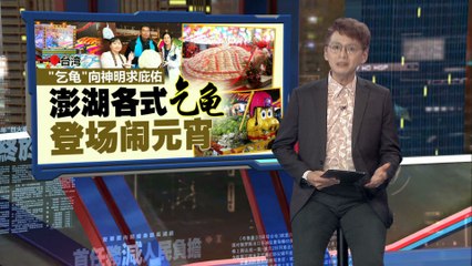 澎湖特色“乞龟”文化闹元宵，祈求神明庇佑✨