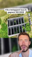 Vous pensez qu’ils vont reussir ?