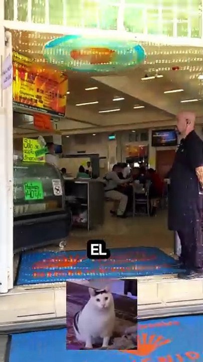 ¿Las mejores carnitas de la CDMX? La taquería con mejor calificación en Google