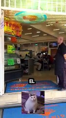 ¿Las mejores carnitas de la CDMX? La taquería con mejor calificación en Google