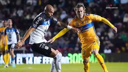 Tigres sucumbe ante Querétaro: una jornada de frustración para los aficionados