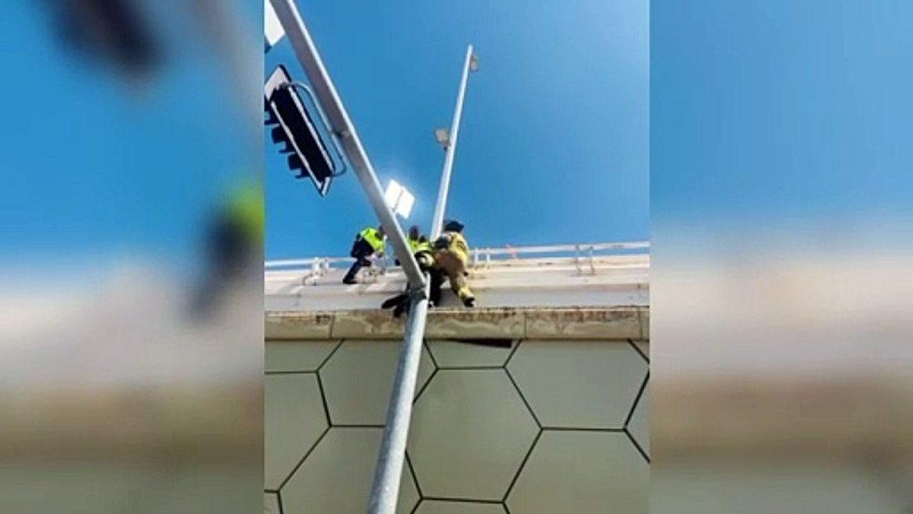 VIDEO: Policías y bombero evitan que mujer se lance de los Puentes Gemelos