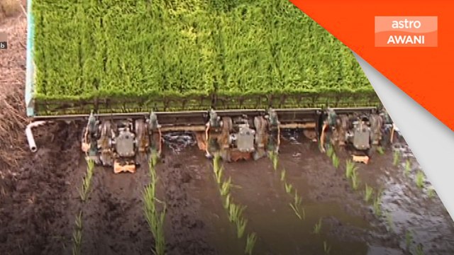 Reformasi industri padi, beras agenda kerajaan tahun ini