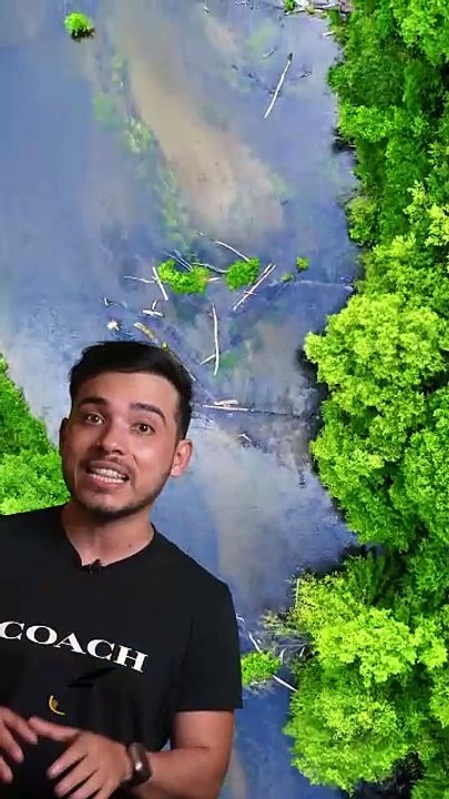 Parques naturales en Estados Unidos