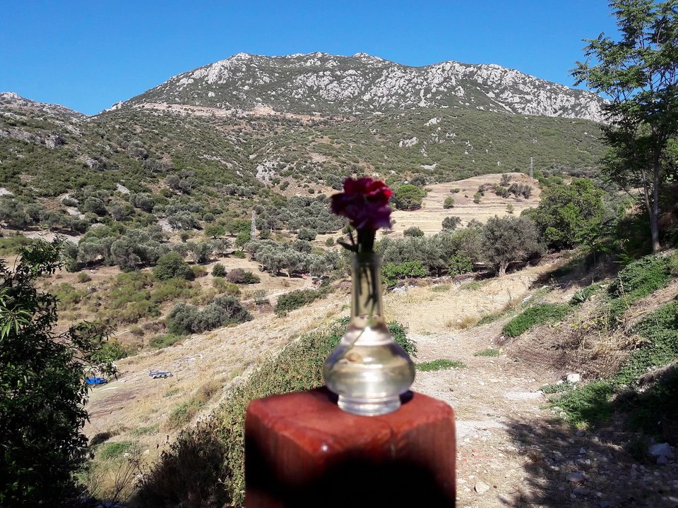 Jean François Michael - Adieu Jolie Candy 1969