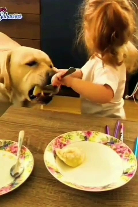 Biraz hüzün biraz neşe tıkla