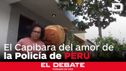 Un Policía disfrazado de 'Capibara del amor' detiene a un traficante de droga