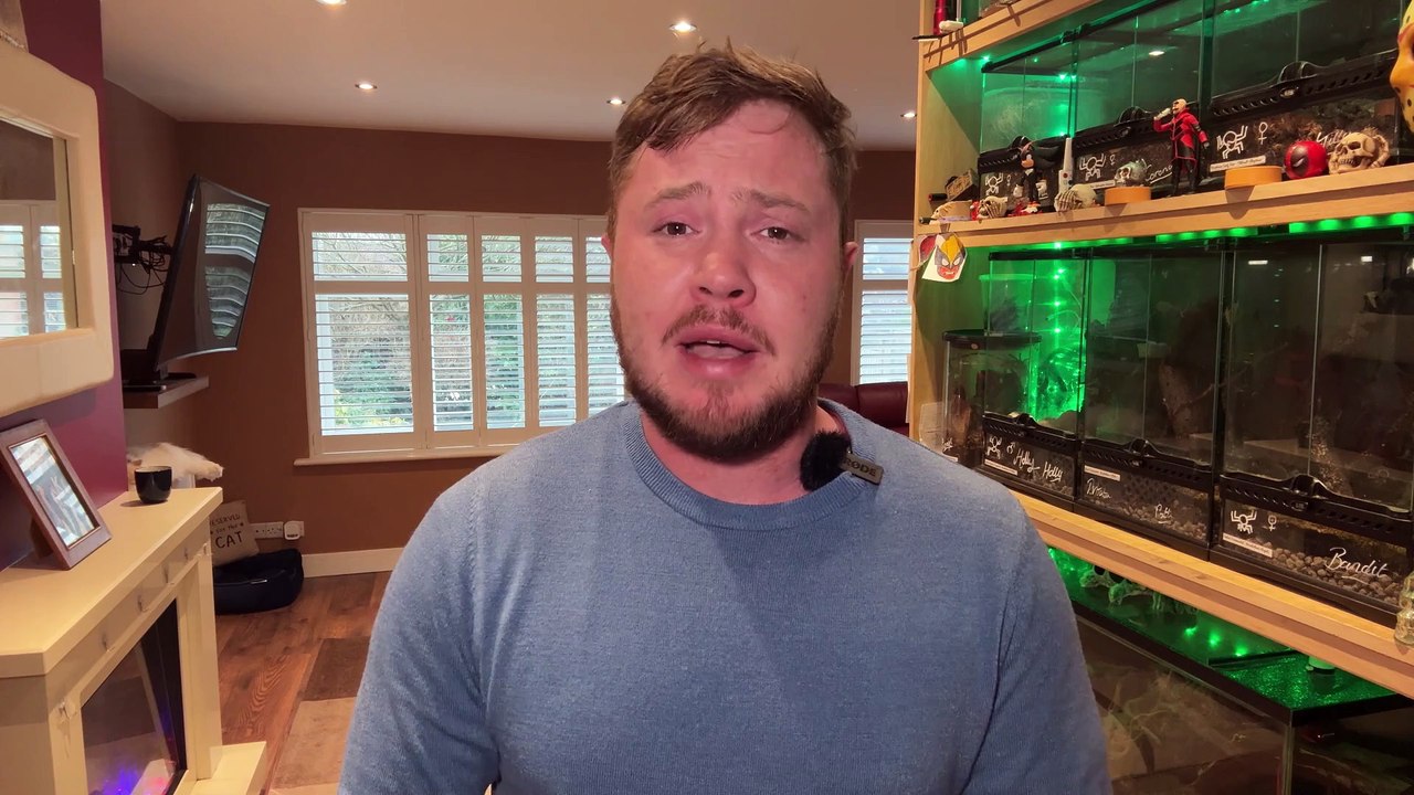 Man shares his home with 16 tarantulas and a huntsman spider