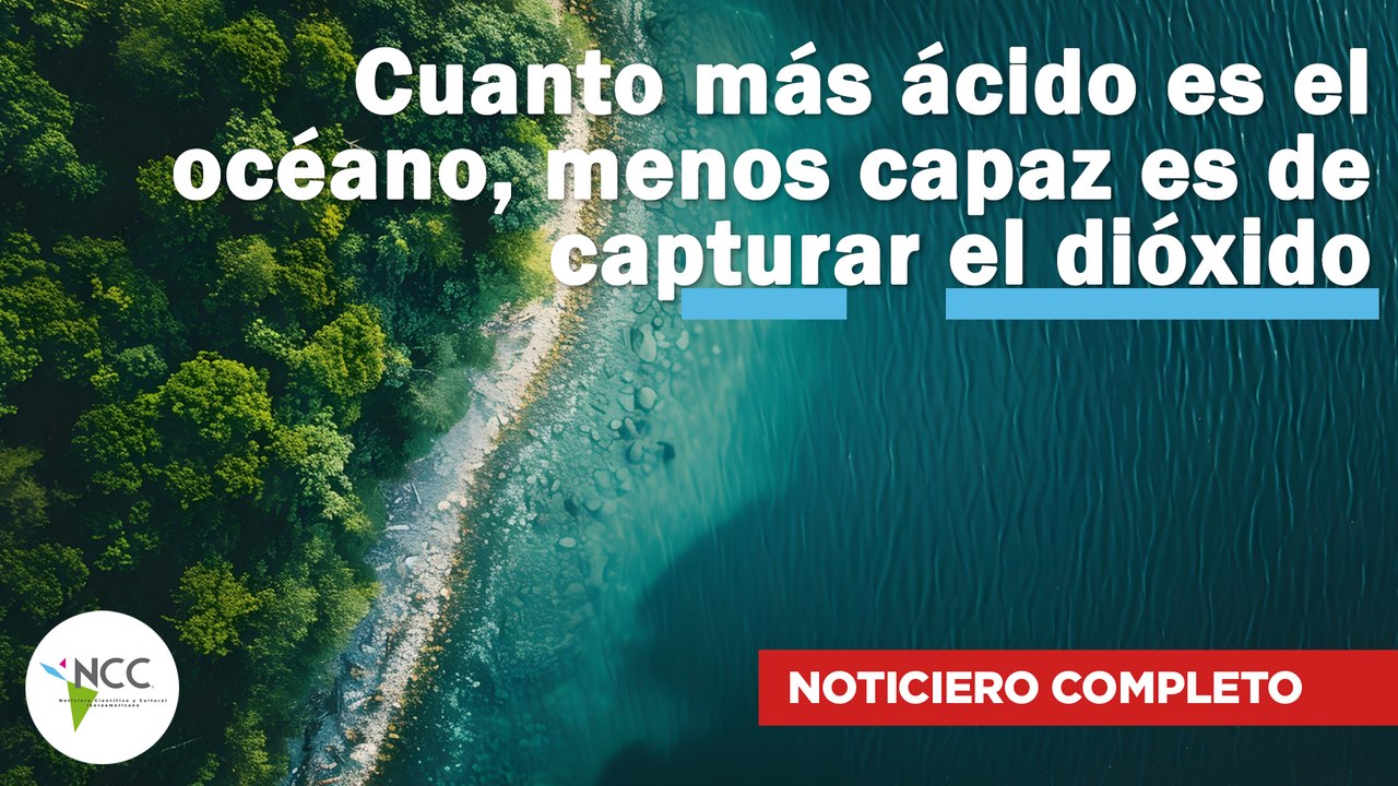 Cuanto más ácido es el océano, menos capaz es d...