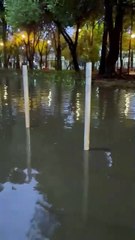Intensa lluvia en la GAM provoca encharcamiento en la colonia Industrial