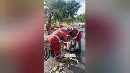 Escobedo refuerza la limpieza de alcantarillas para prevenir inundaciones
