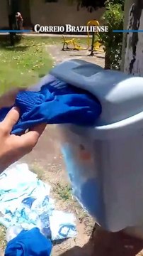 Uniformes escolares distribuídos pelo GDF são encontrados no lixo no Paranoá