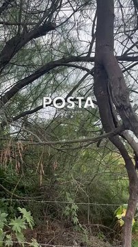 Se desata persecución y balacera en Libramiento Noroeste; buscan a delncuentes