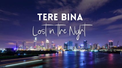 Tere Bina - Lost in the Night (Official Music Video) | Hindi-English EDM Pop | Replay and Relate