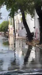 Diluvio toma por sorpresa a más de uno e inunda Monterrey