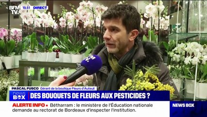 "On le sait depuis toujours": ce fleuriste francilien assure sensibiliser ses employés pour éviter d'être trop exposé aux résidus de pesticides présents sur certaines fleurs