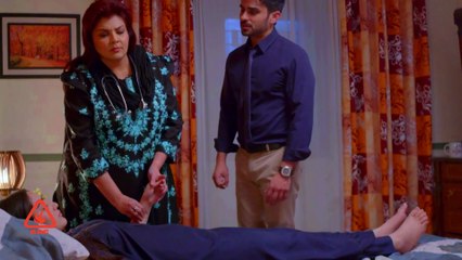 Abdul Bari Tum Baap Banne wale ho 😍Good News Aapa Shameem