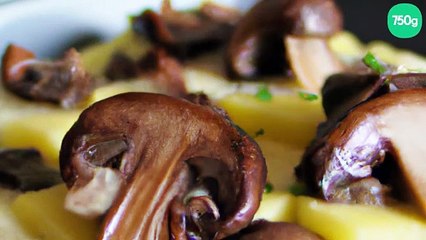 Dauphinois aux cèpes