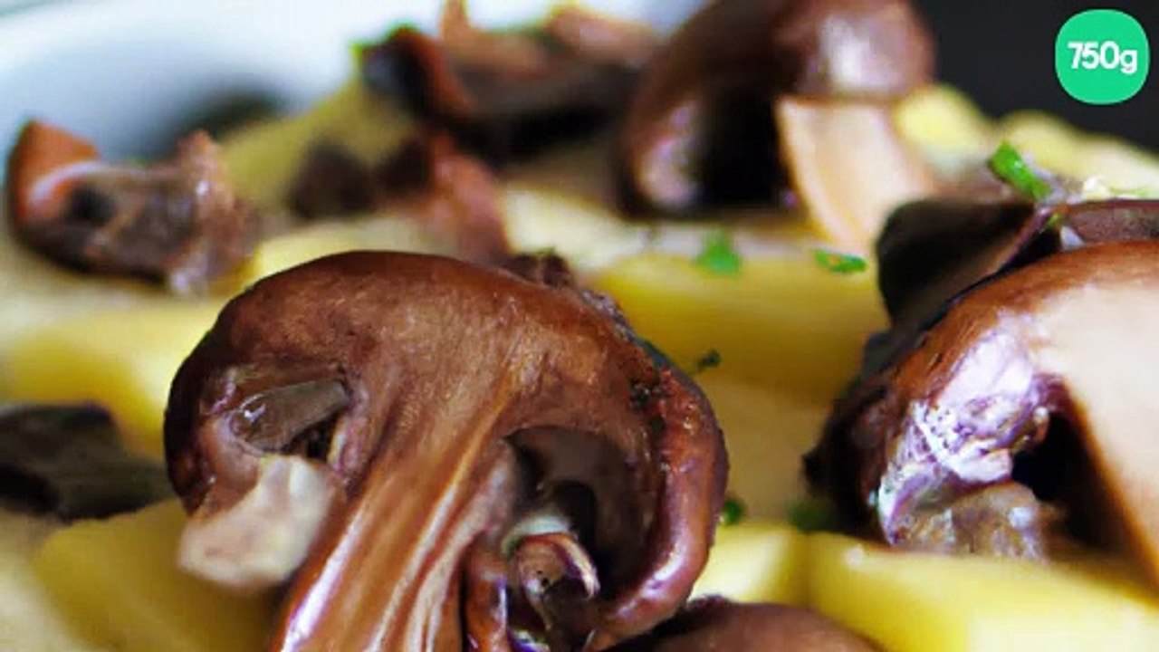 Dauphinois aux cèpes