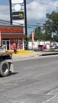 Tráileres: dolor de cabeza para automovilistas en avenidas de Guadalupe y Juárez