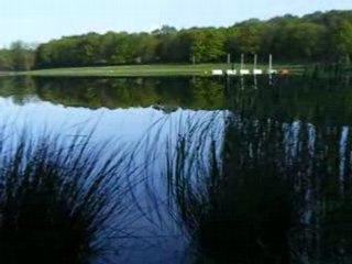 rochefort en terre carpe