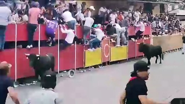 Cuatro heridos en capea de toros durante festejos en Xico