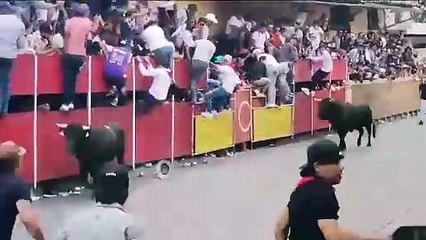Cuatro heridos en capea de toros durante festejos en Xico